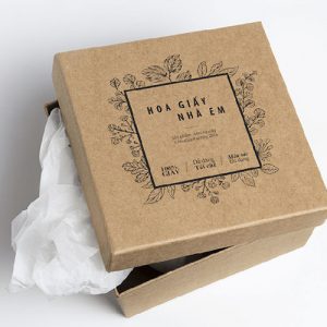 Mẫu hộp giấy NANH-PB 000027